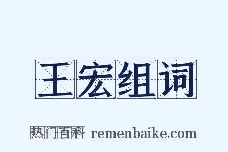 王宏组词是什么意思的图片